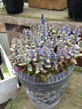 2013-04-10 11.30.52.jpg
