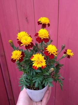 2013-04-16 14.59.00.jpg