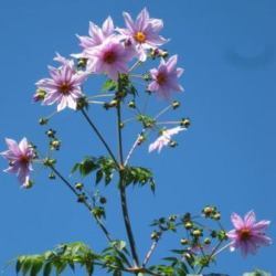 E4B880E9878D-thumbnail2.jpg